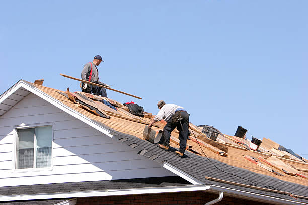 Best Gutter Installation and Repair  in Rainier, OR